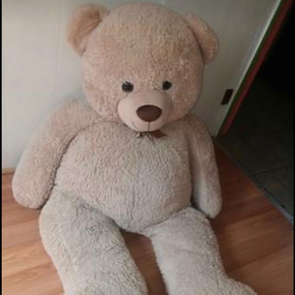 big teddy bear shop